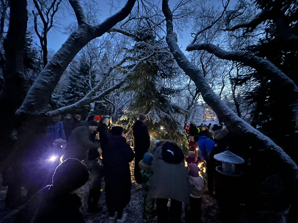 Fréttamynd - Ljósadagurinn mikli