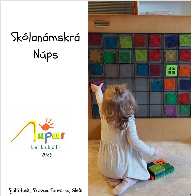 Fréttamynd - Ný skólanámskrá Núps gefin út