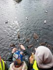 Fréttamynd - Takk kærlega fyrir skólaárið